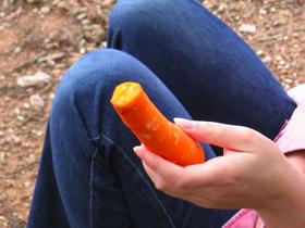 2008---- Cassie - good colours (c) Alison Moore.jpg